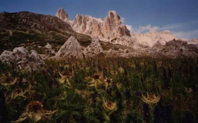 Vigo di Fassa – Aufstieg zur Rotwandhütte